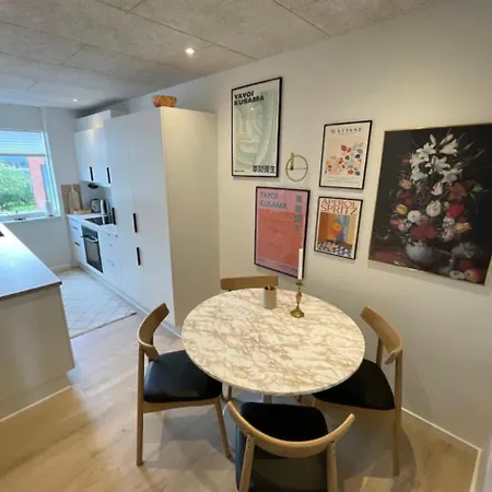 Appartement Luksus Med Altan, Have Og Fri Parkering Esbjerg